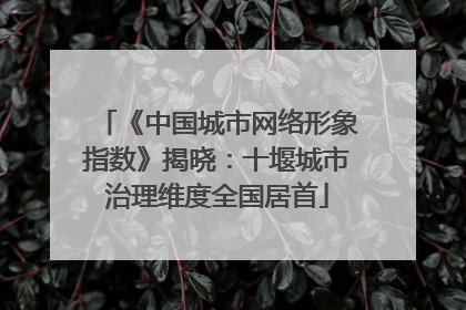 《中国城市网络形象指数》揭晓：十堰城市治理维度全国居首