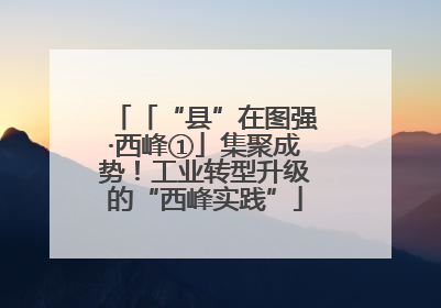 「“县”在图强·西峰①」集聚成势！工业转型升级的“西峰实践”