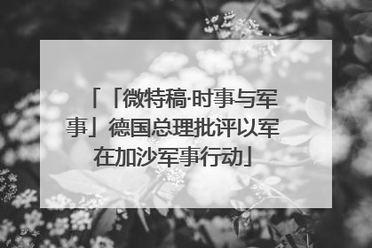 「微特稿·时事与军事」德国总理批评以军在加沙军事行动