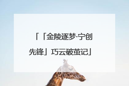 「金陵逐梦·宁创先锋」巧云破茧记
