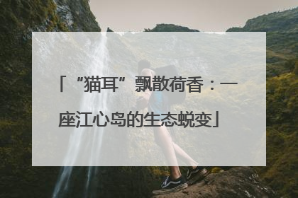 “猫耳”飘散荷香：一座江心岛的生态蜕变