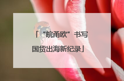 “皖甬欧”书写国货出海新纪录