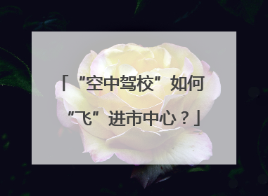 “空中驾校”如何“飞”进市中心？