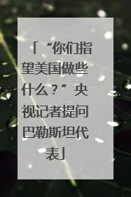 “你们指望美国做些什么？”央视记者提问巴勒斯坦代表