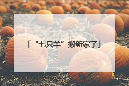 “七只羊”搬新家了
