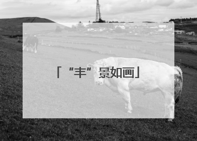 “丰”景如画