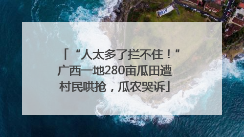 “人太多了拦不住！”广西一地280亩瓜田遭村民哄抢，瓜农哭诉