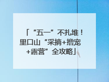 “五一”不扎堆！里口山“采摘+撸宠+露营”全攻略