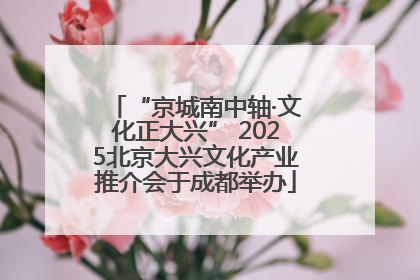 “京城南中轴·文化正大兴” 2025北京大兴文化产业推介会于成都举办