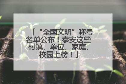 “全国文明”称号名单公布！泰安这些村镇、单位、家庭、校园上榜！
