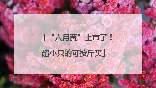 “六月黄”上市了！超小只的可按斤买
