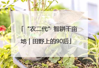 “农二代”智耕千亩地｜田野上的90后