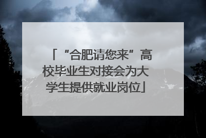 “合肥请您来”高校毕业生对接会为大学生提供就业岗位