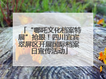 “哪吒文化档案特展”抢眼！四川宜宾翠屏区开展国际档案日宣传活动