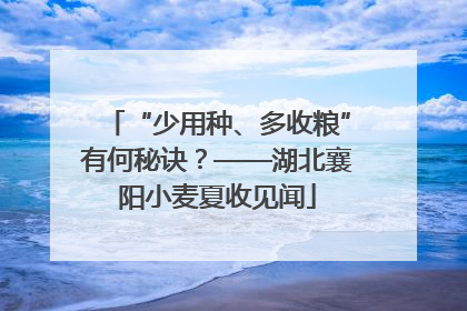 “少用种、多收粮”有何秘诀？——湖北襄阳小麦夏收见闻