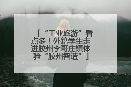 “工业旅游”看点多！外籍学生走进胶州李哥庄镇体验“胶州智造”