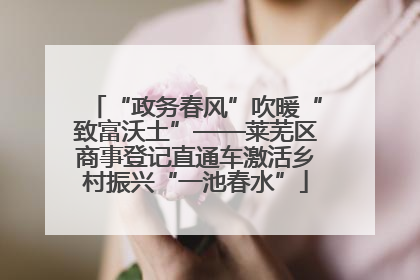 “政务春风”吹暖“致富沃土”——莱芜区商事登记直通车激活乡村振兴“一池春水”