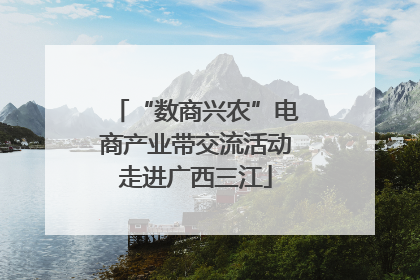“数商兴农”电商产业带交流活动走进广西三江