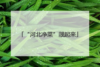 “河北净菜”靓起来