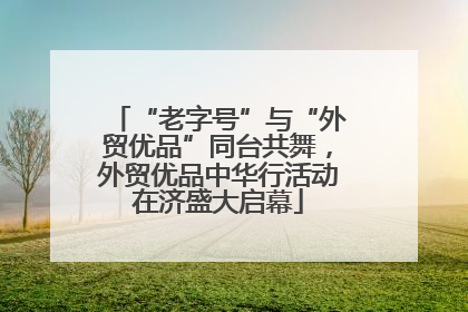 “老字号”与“外贸优品”同台共舞，外贸优品中华行活动在济盛大启幕