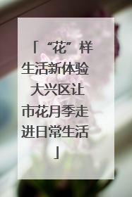 “花”样生活新体验 大兴区让市花月季走进日常生活