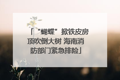 “蝴蝶”掀铁皮房顶吹倒大树 海南消防部门紧急排险