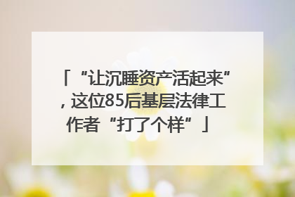 “让沉睡资产活起来”，这位85后基层法律工作者“打了个样”