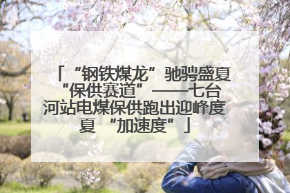 “钢铁煤龙”驰骋盛夏 “保供赛道”——七台河站电煤保供跑出迎峰度夏 “加速度”