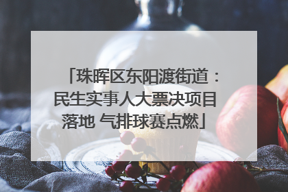 珠晖区东阳渡街道：民生实事人大票决项目落地 气排球赛点燃