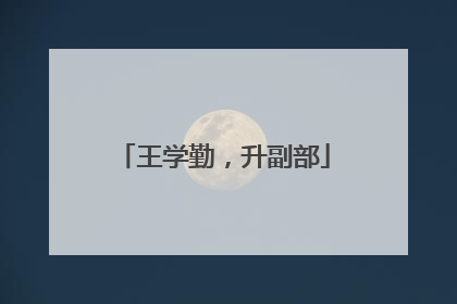 王学勤，升副部