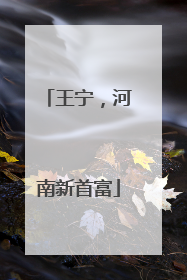 王宁，河南新首富