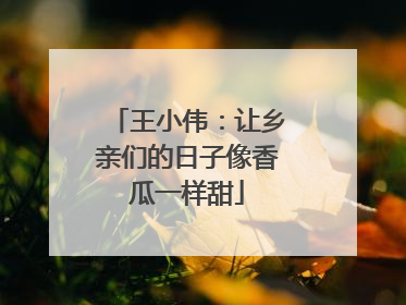 王小伟：让乡亲们的日子像香瓜一样甜