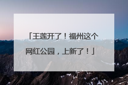 王莲开了！福州这个网红公园，上新了！
