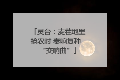 灵台：麦茬地里抢农时 奏响复种“交响曲”