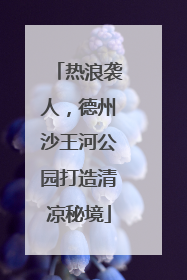 热浪袭人，德州沙王河公园打造清凉秘境