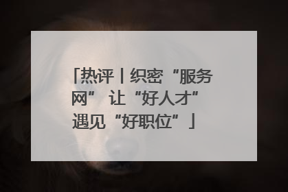 热评丨织密“服务网” 让“好人才”遇见“好职位”