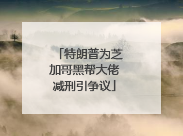 特朗普为芝加哥黑帮大佬减刑引争议