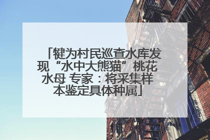 犍为村民巡查水库发现“水中大熊猫”桃花水母 专家：将采集样本鉴定具体种属