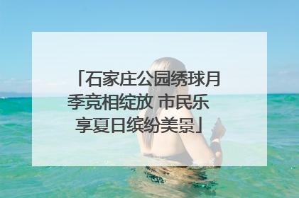 石家庄公园绣球月季竞相绽放 市民乐享夏日缤纷美景
