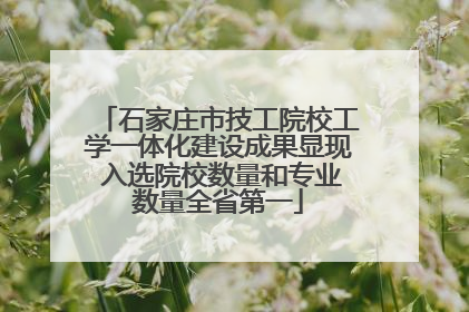 石家庄市技工院校工学一体化建设成果显现 入选院校数量和专业数量全省第一