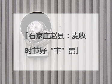 石家庄赵县：麦收时节好“丰”景