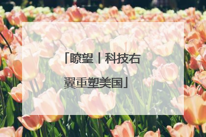 瞭望丨科技右翼重塑美国