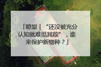 瞭望｜“还没被充分认知就难觅其踪”，谁来保护新物种？
