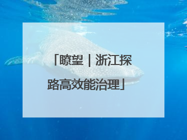 瞭望｜浙江探路高效能治理