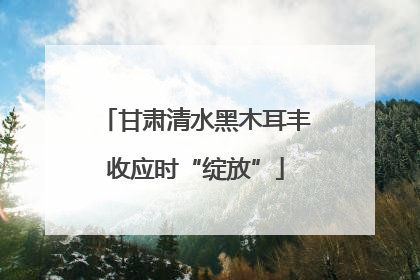 甘肃清水黑木耳丰收应时“绽放”