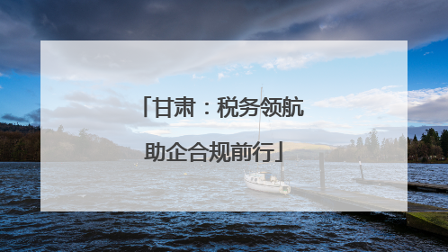 甘肃：税务领航 助企合规前行