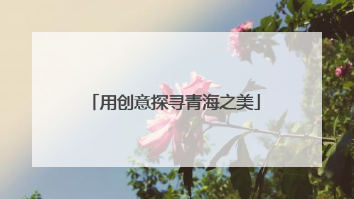 用创意探寻青海之美