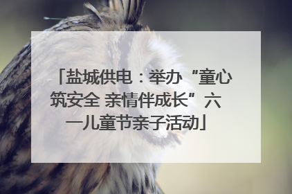 盐城供电：举办“童心筑安全 亲情伴成长”六一儿童节亲子活动