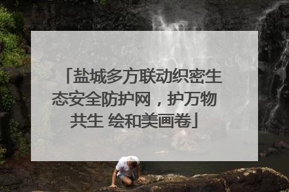盐城多方联动织密生态安全防护网，护万物共生 绘和美画卷