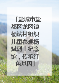 盐城市盐都区龙冈镇杨斌村组织儿童参观杨斌烈士纪念馆，传承红色基因
